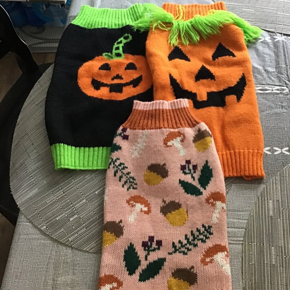 Lot of 3 Dog Sweaters (Simply Dog Brand) for Small Breed Dogs--Halloween/Fall